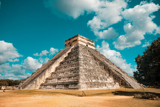Single Origin Coffee From Mexico: Mountain Magic