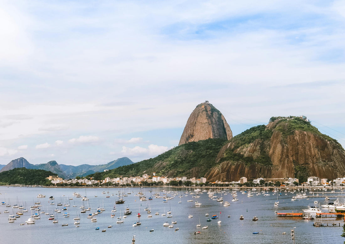 Single Origin Coffee From Brazil: Everyday Elegance