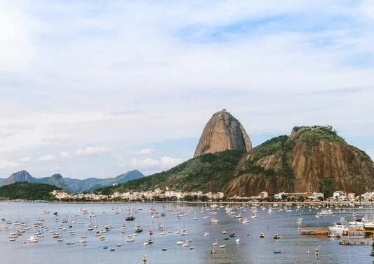 Single Origin Coffee From Brazil: Everyday Elegance