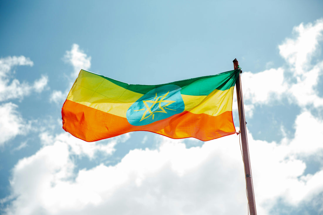 Single Origin Coffee From Ethiopia: The Birthplace of Coffee