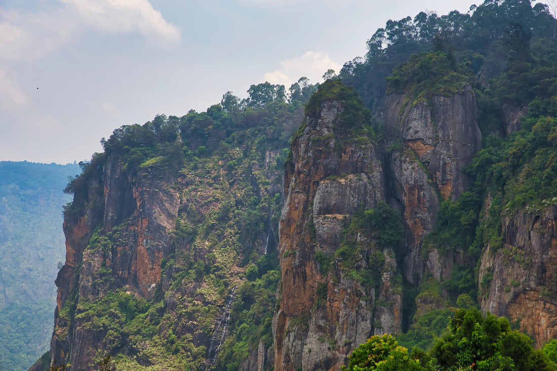 A close-up of nature in the Al-Faifa Mountains in Jazan, Saudi Arabia. The mountains rise more than 1,800 meters above sea level and stand about 100km from the southwestern city of Jizan.