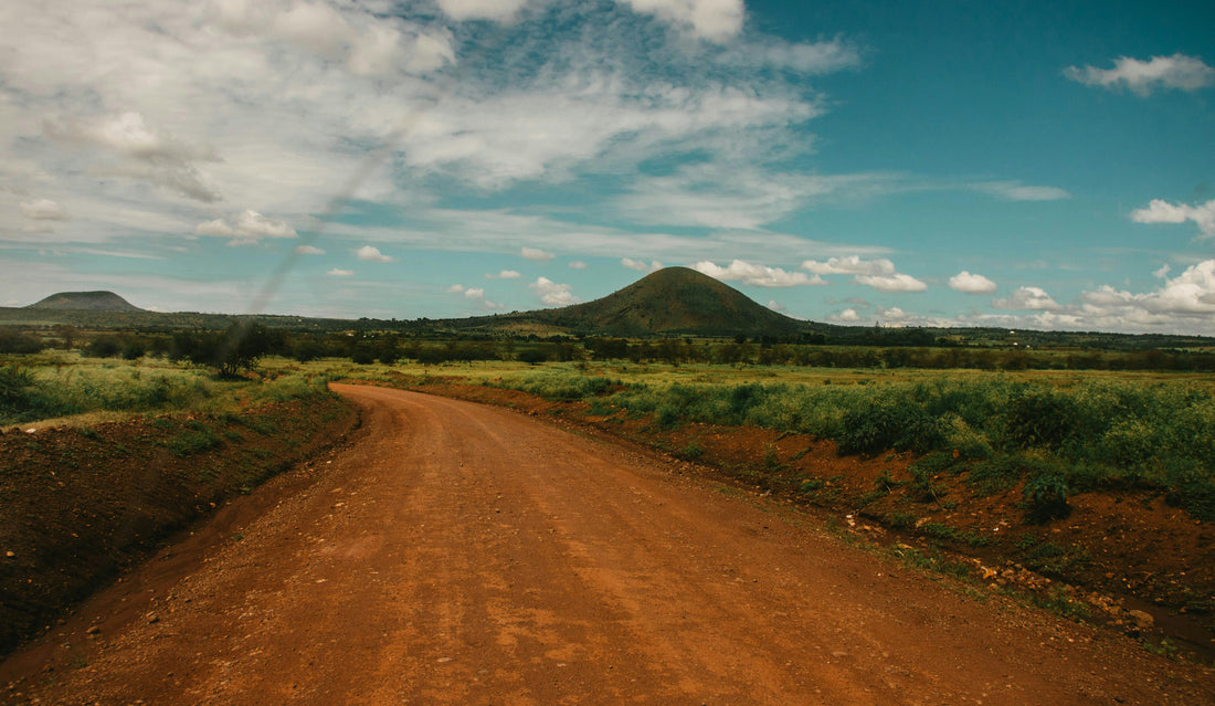 Single Origin Coffee from Tanzania: High-Grown Heritage